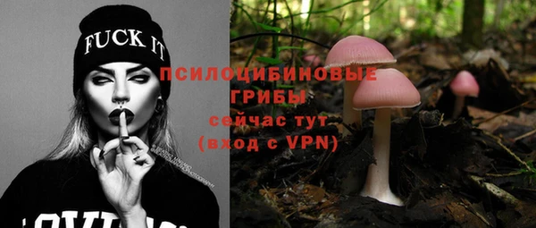 гидра Верхнеуральск