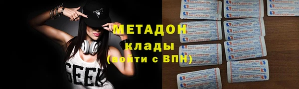 ПСИЛОЦИБИНОВЫЕ ГРИБЫ Тайга