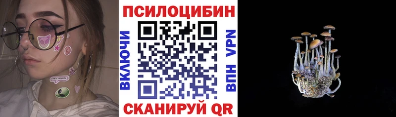 Галлюциногенные грибы Cubensis  OMG ССЫЛКА  Орехово-Зуево 